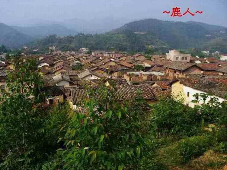 14山下村集.JPG