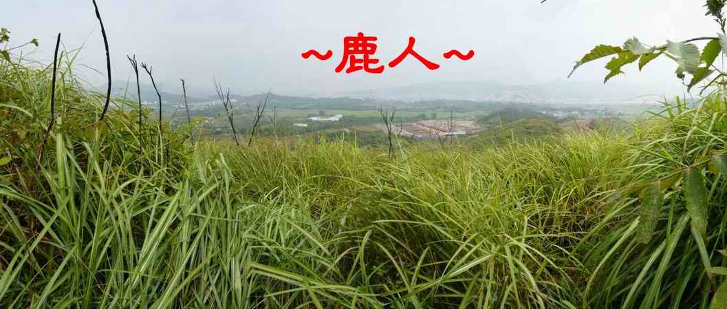 15站在穴位上看堂局.JPG