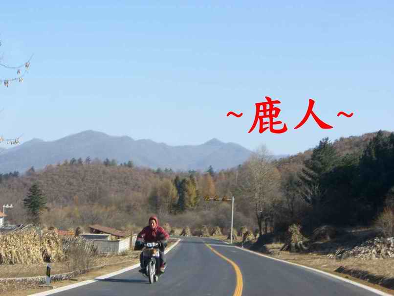 16好冷好凍辛苦了.JPG