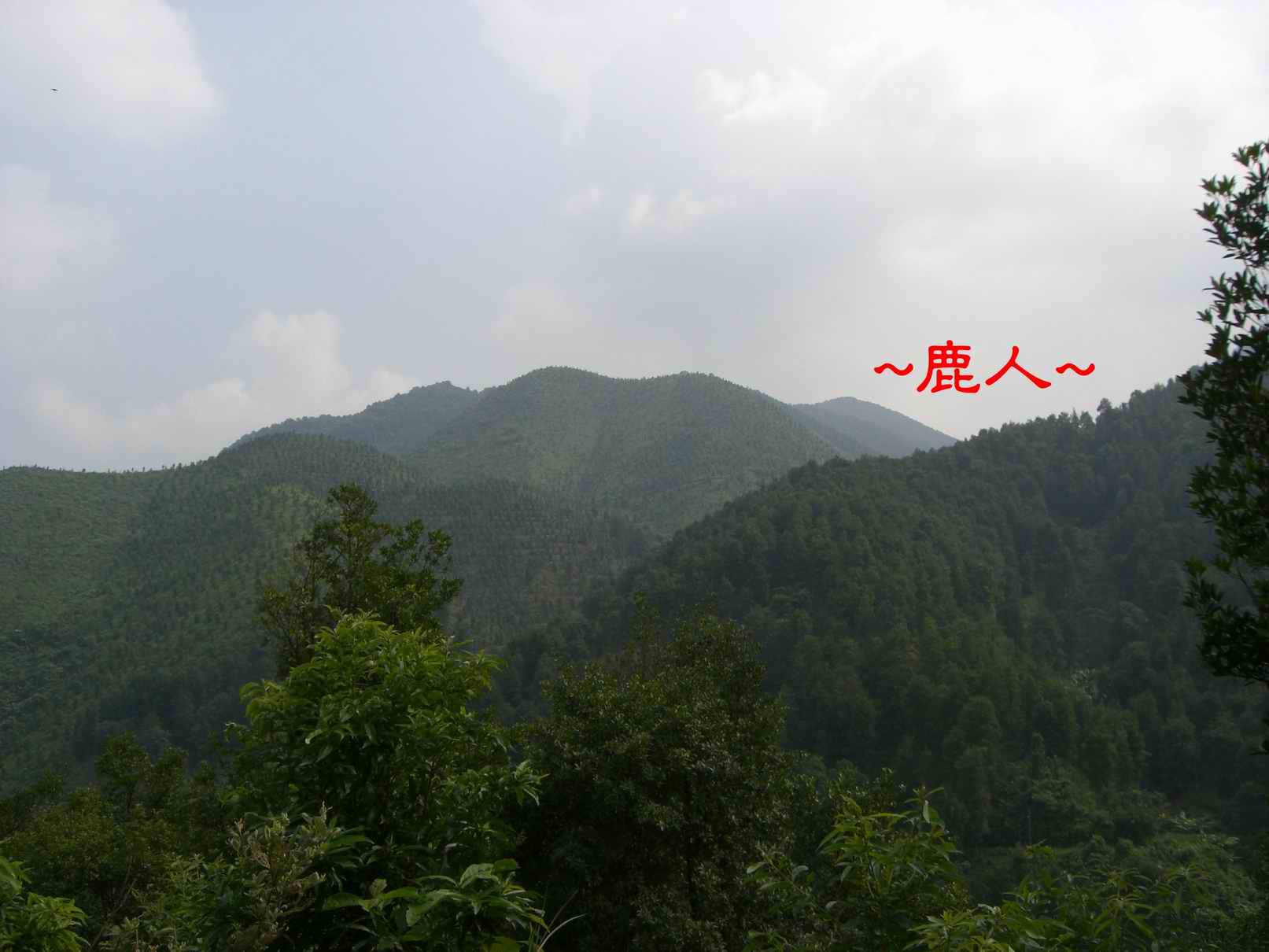 18六萬大山一角落.JPG