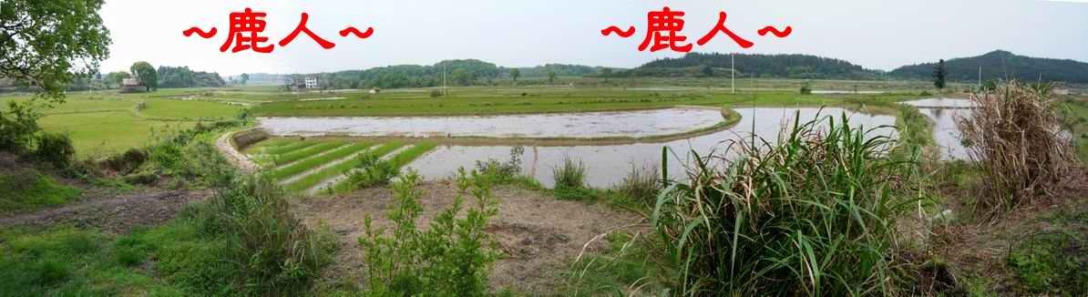 18看朝堂.JPG