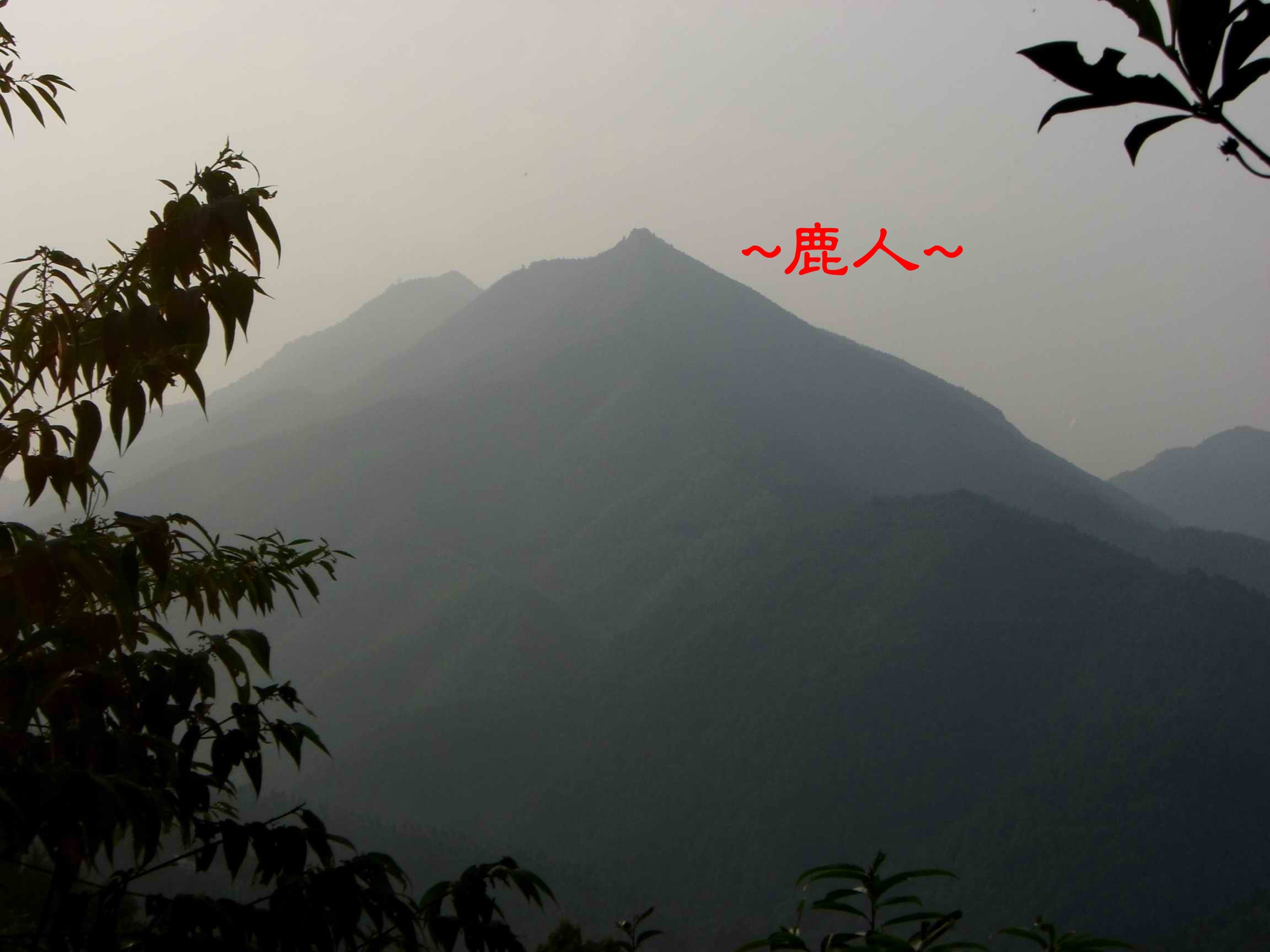 19高山看山高.JPG