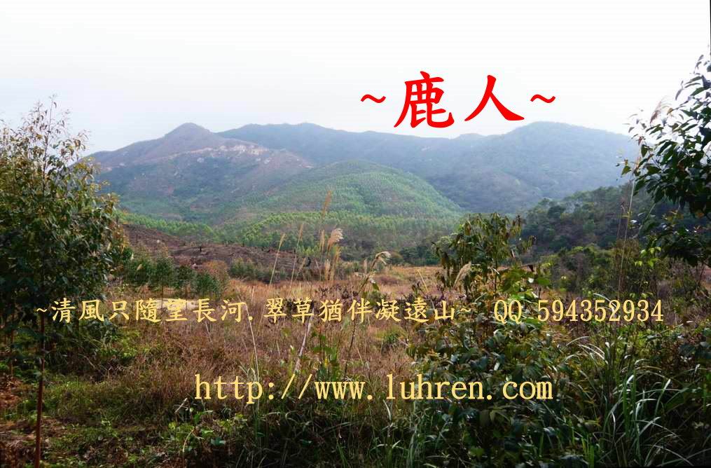 1山龍穴山_2.JPg