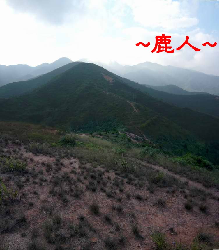 1主幹行龍入首_511.JPG