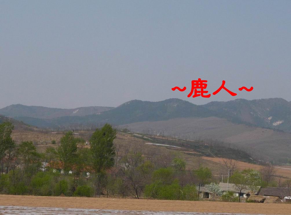 1北方勁土.JPG