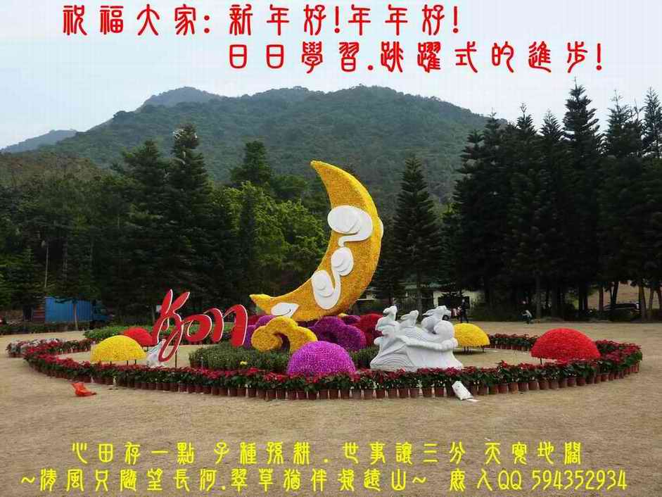 1玉兔_03.jpg
