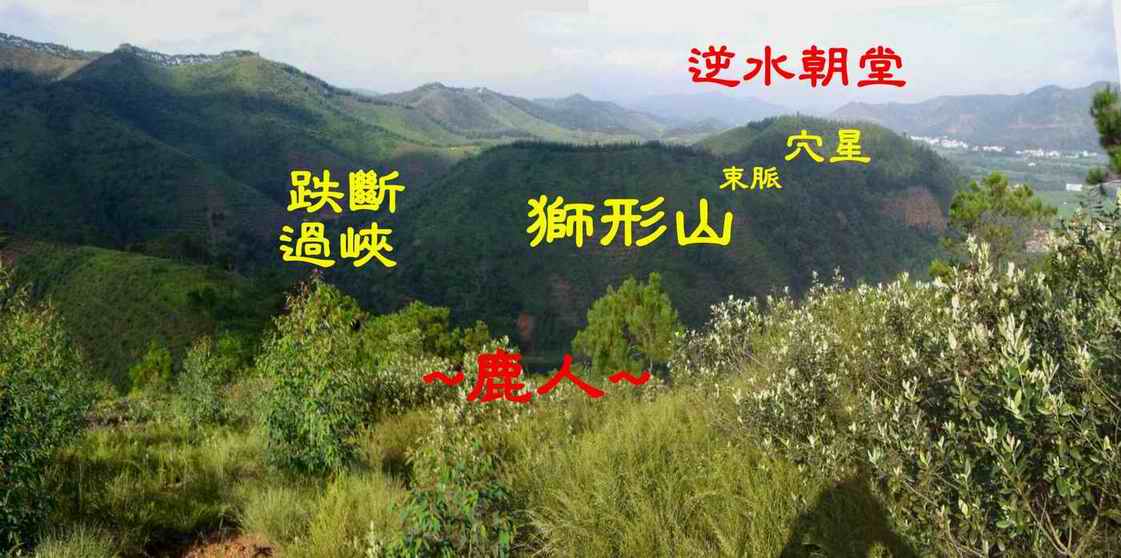 1由虎砂上看穴星(獅形山)轉身收逆水特照.JPG