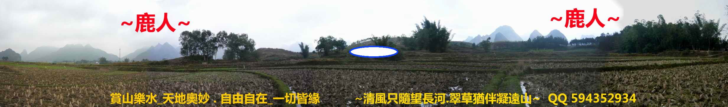 MaXbpHPCT6pMMQ==_Fx18itxuU6nV.jpg