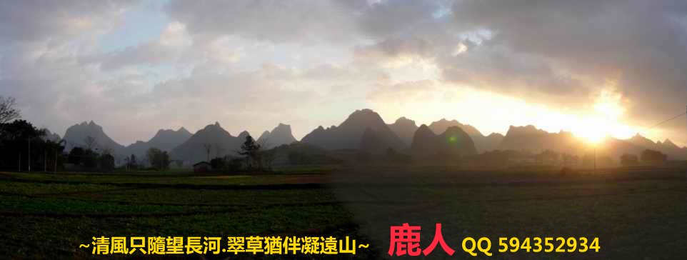 1石山叢林1_01.JPG