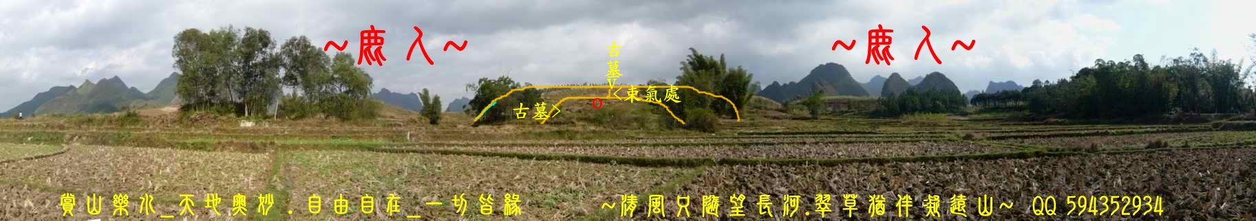 1石山叢林_正照(標).jpg