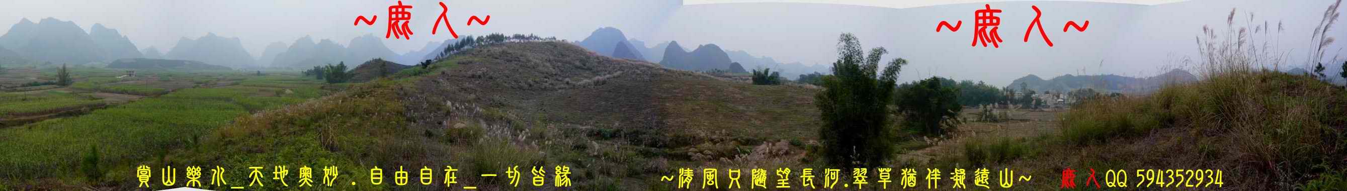 1石山叢林_10.jpg