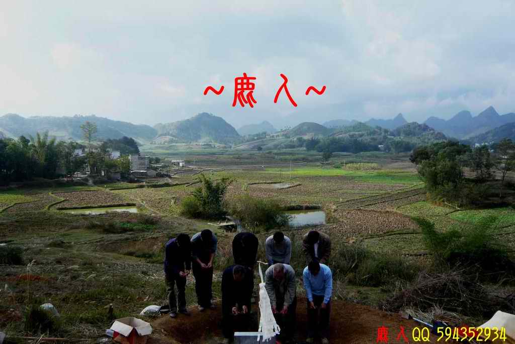 1石山叢林_16.jpg