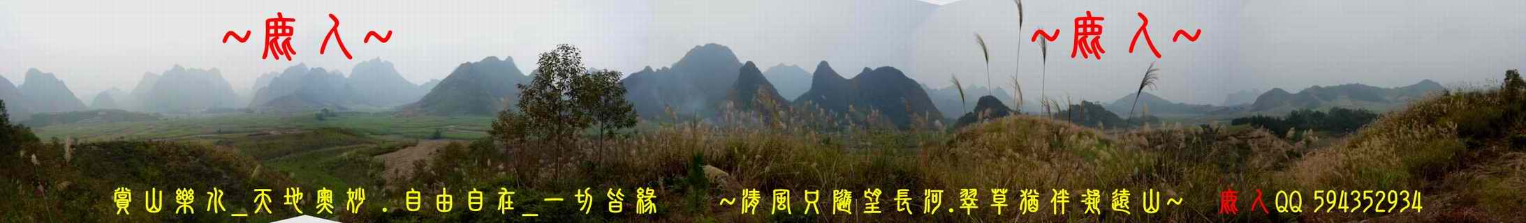 1石山叢林_05.jpg