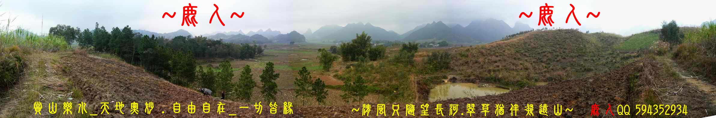 1石山叢林_09.jpg