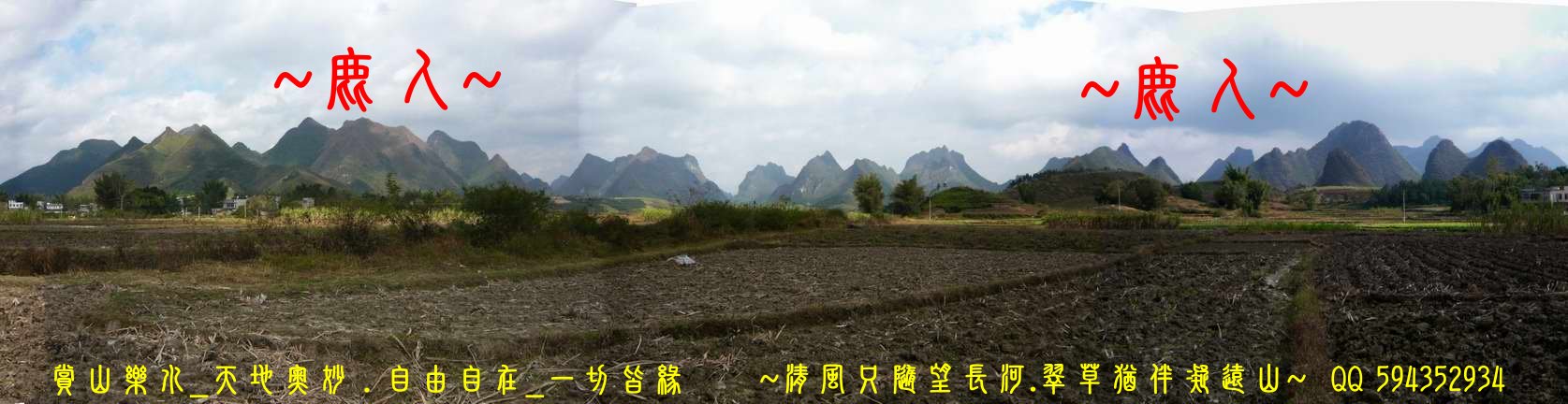 1石山叢林_04.jpg