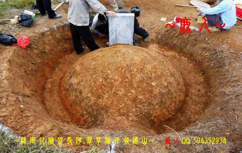 1石山叢林_17.jpg