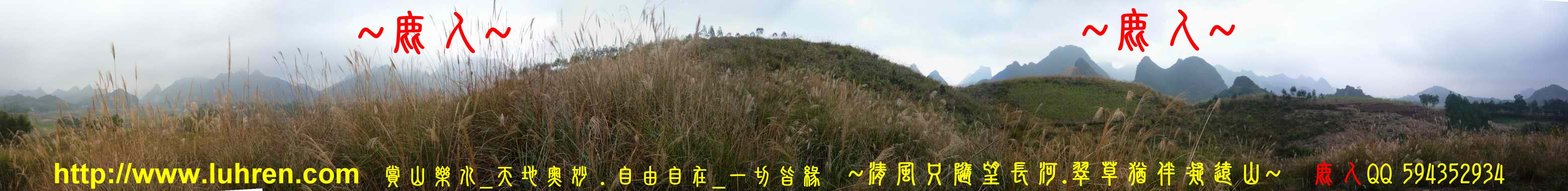 1石山叢林_11.jpg