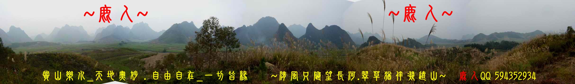 1石山叢林_05.jpg