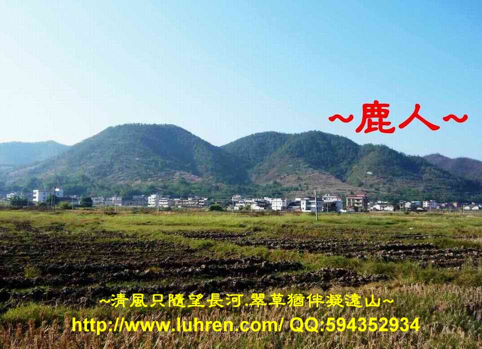 1投懷送抱_121.JPG