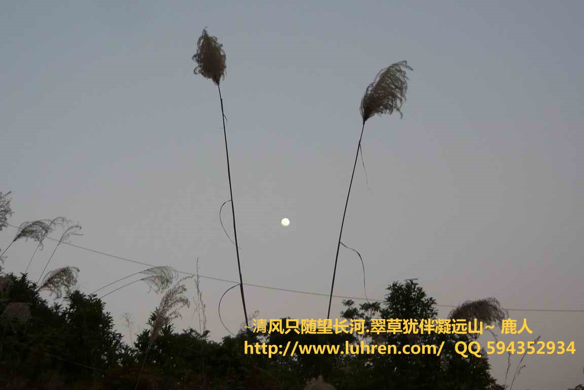 1走進粵西_04 (2).JPG