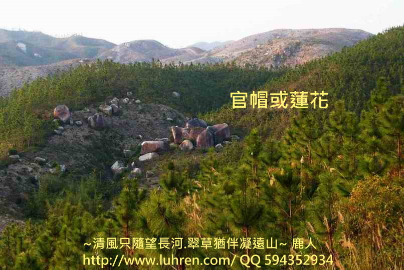 1官帽或蓮花.JPG