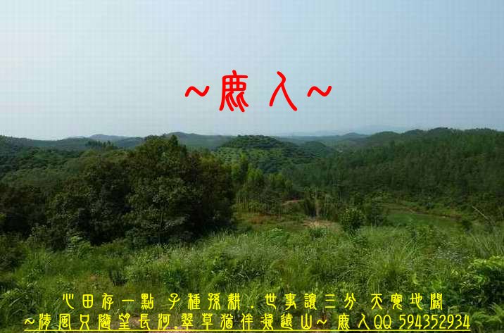 1明珠_3.JPG