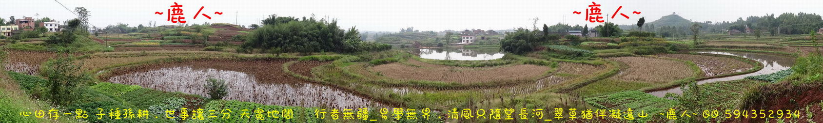 1長江龍_597.JPG