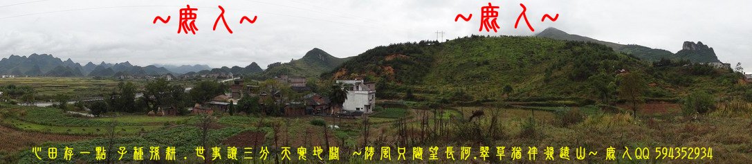 1帥_將_兵_02.JPG