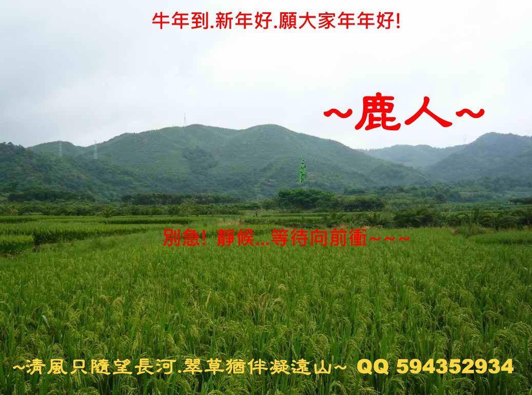 1待衝的牛1_1.JPG