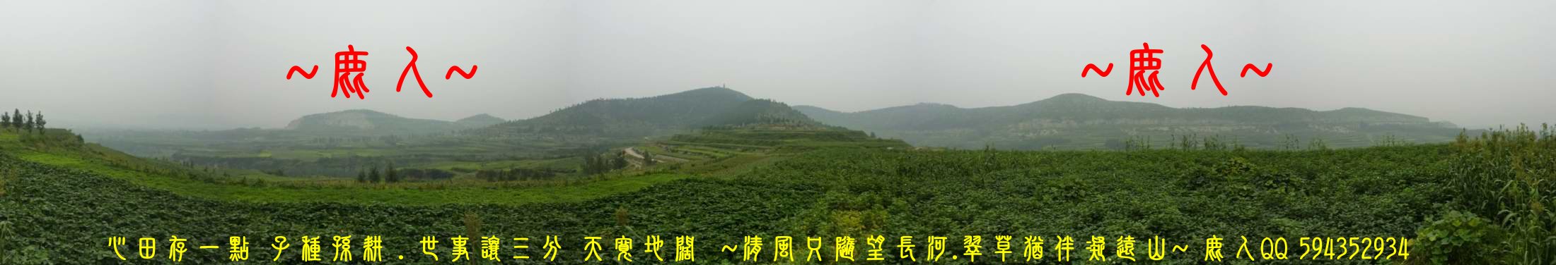 1燕飛翔_001.JPG