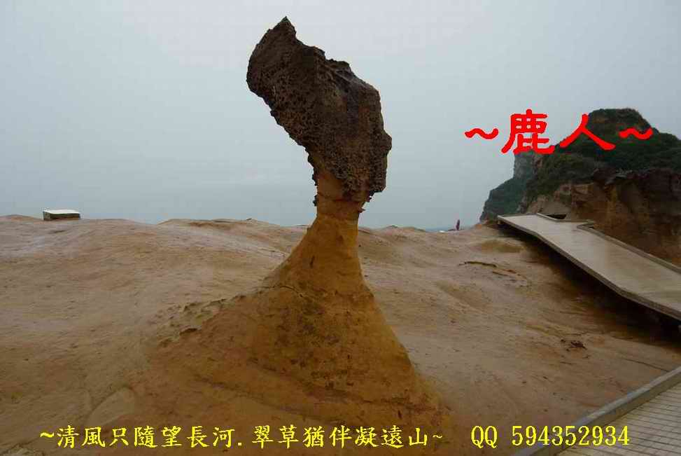 1淑女.JPG