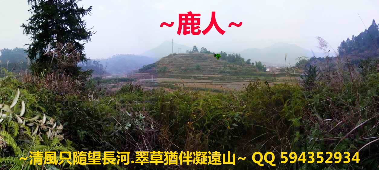 1猛虎跳牆_06.JPG