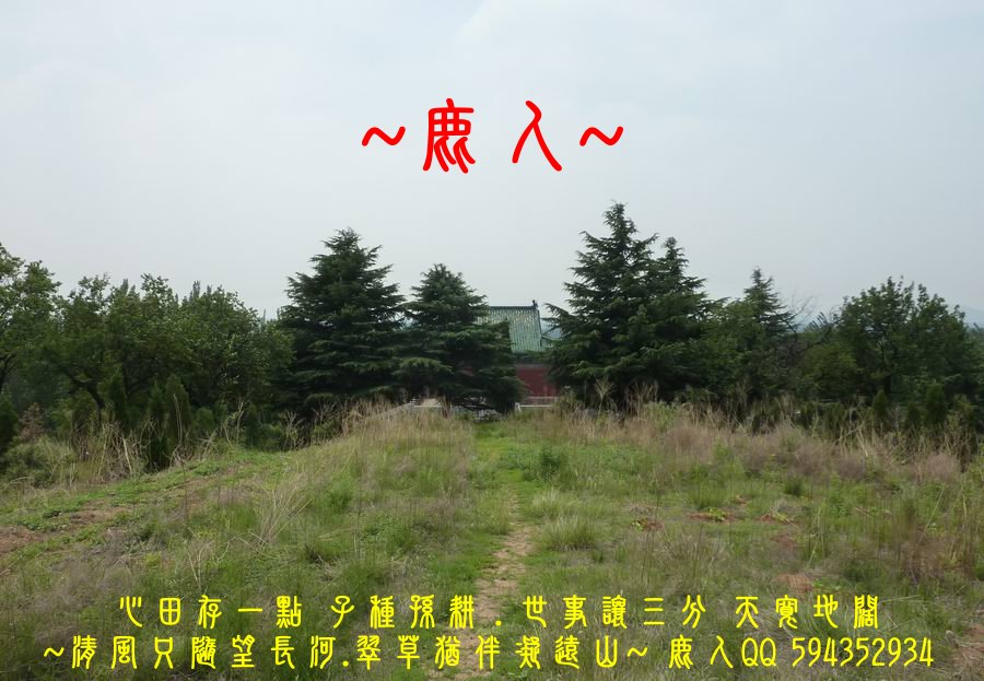 1登高望遠懷天下_03.jpg