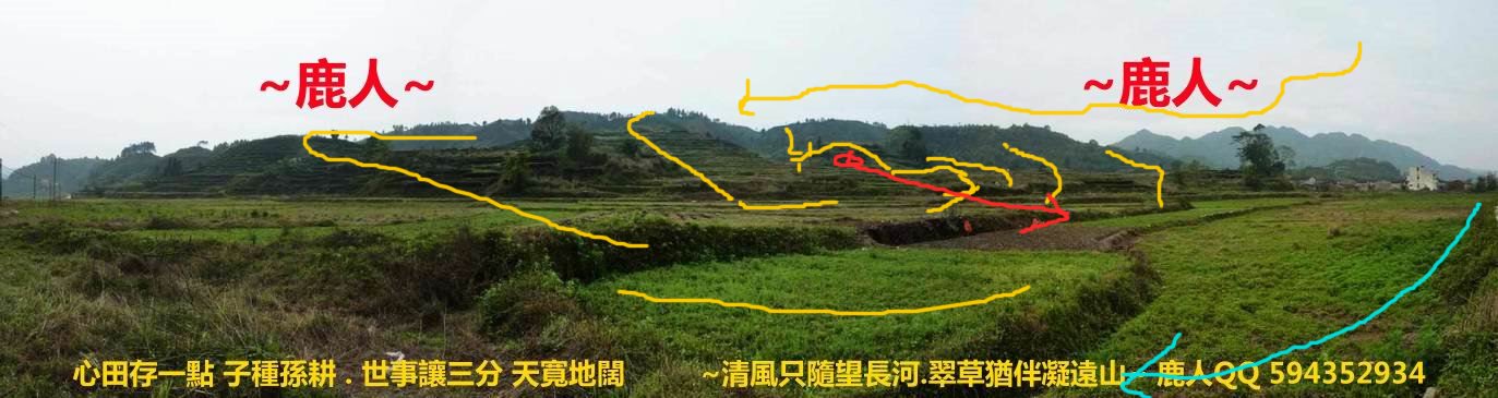 1想飛(標)_01.JPG.jpg