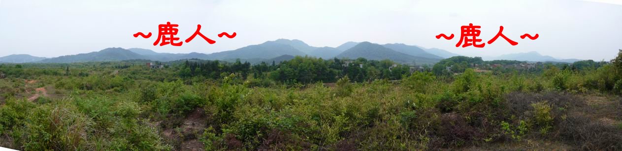 1遠看山巒.JPG