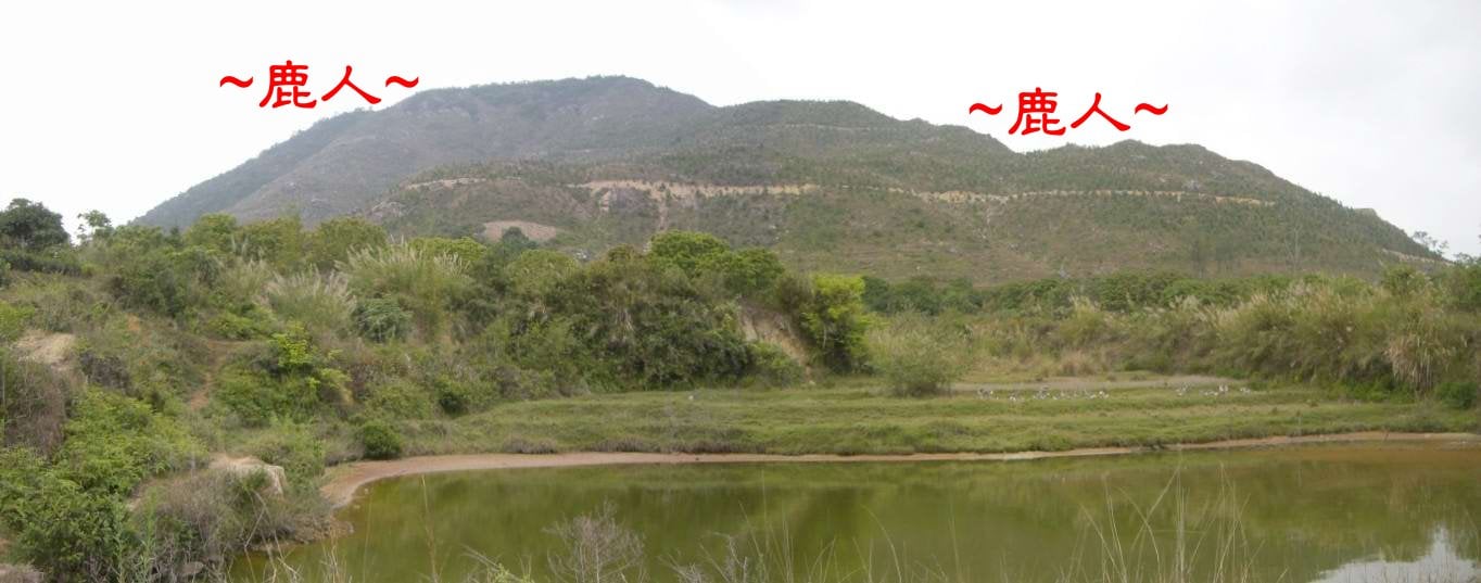 1遠看穴場山巒.JPG