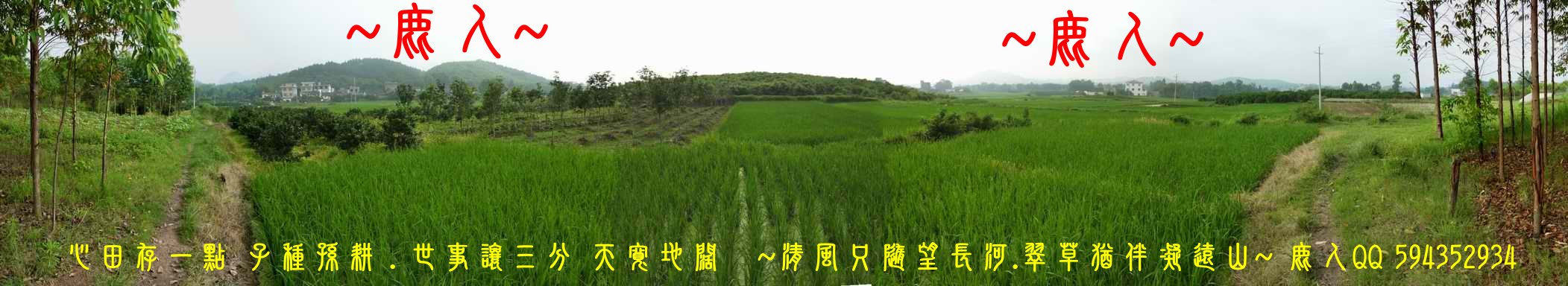 1歸來兮_04.JPG
