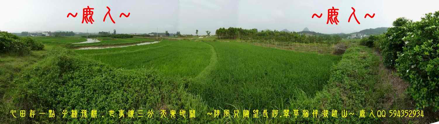 1歸來兮_05.JPG