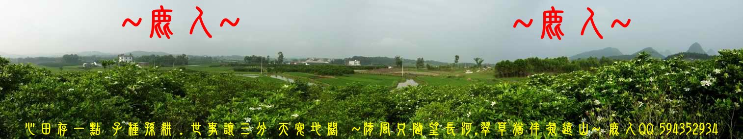 1歸來兮_08.JPG