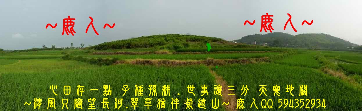 1歸來兮_12.JPG