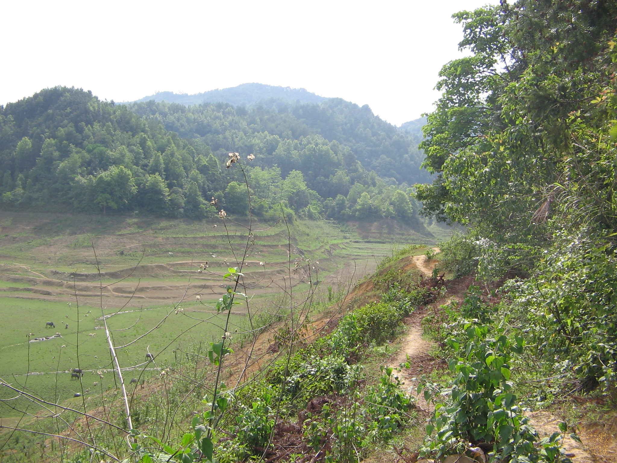 来水水扣