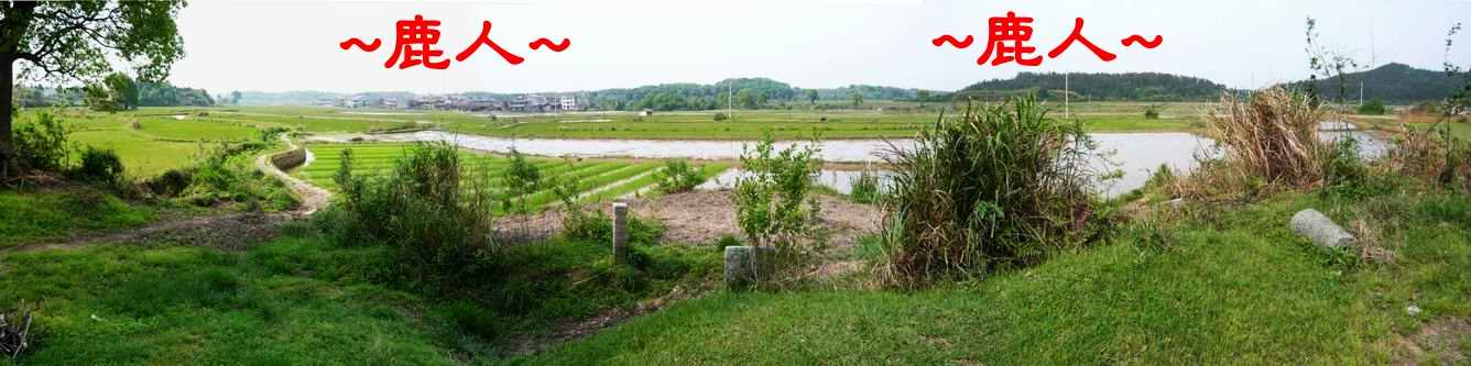 20古墓後看朝堂.JPG