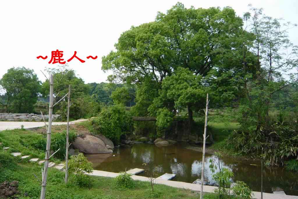 23又回到大樹下小橋流水.JPG