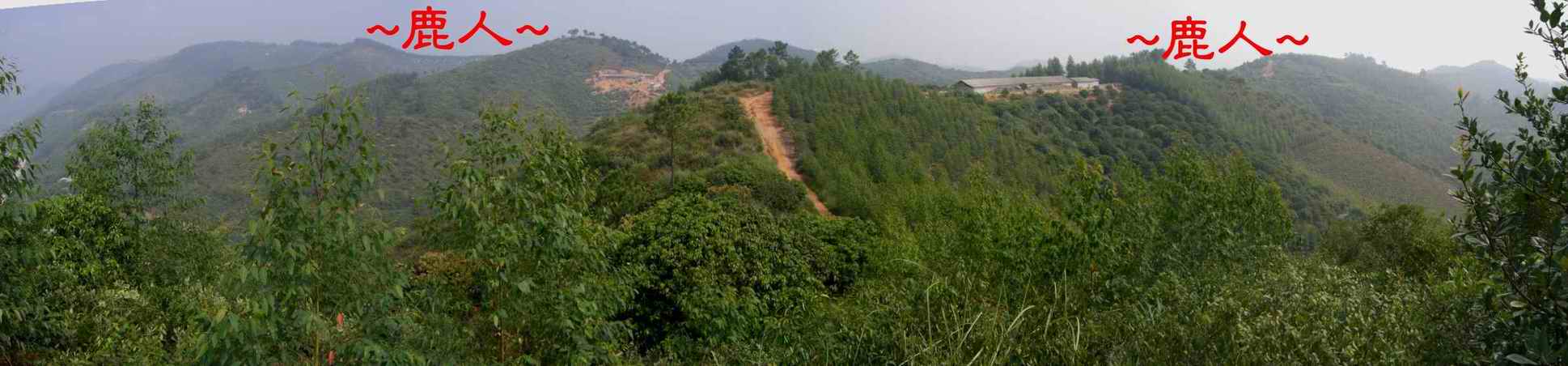 23再登一山頂看來龍與過峽.JPG
