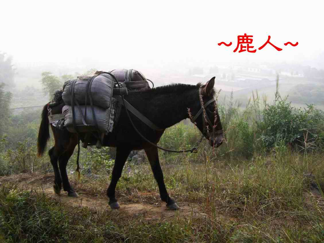 29好重.JPG