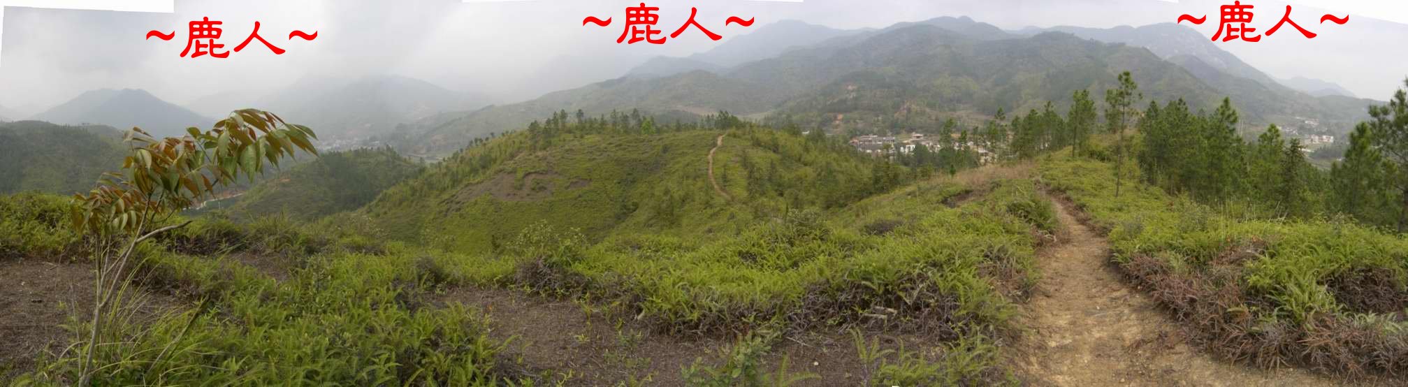 2在父母山後第四節頂上看來龍照.JPG