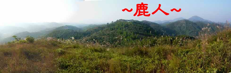 2看來龍一段.JPG