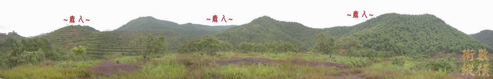 2複製另個角度看行龍全照 Stitched_005.JPG