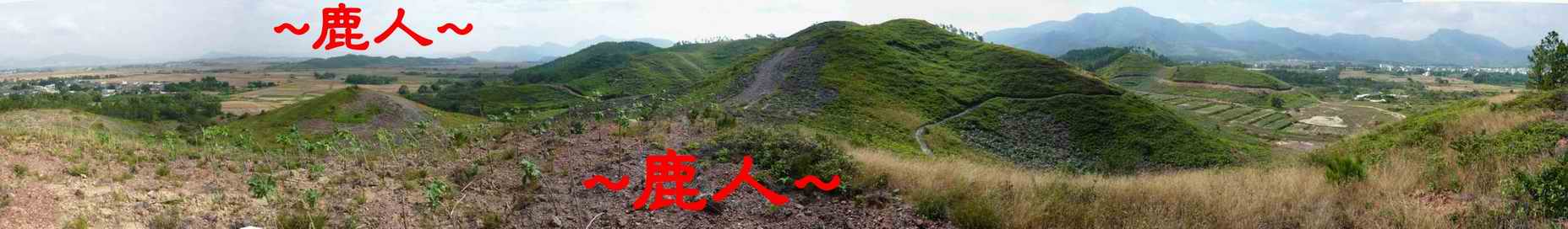 7由穴星頂後看來龍開帳入首照.JPG