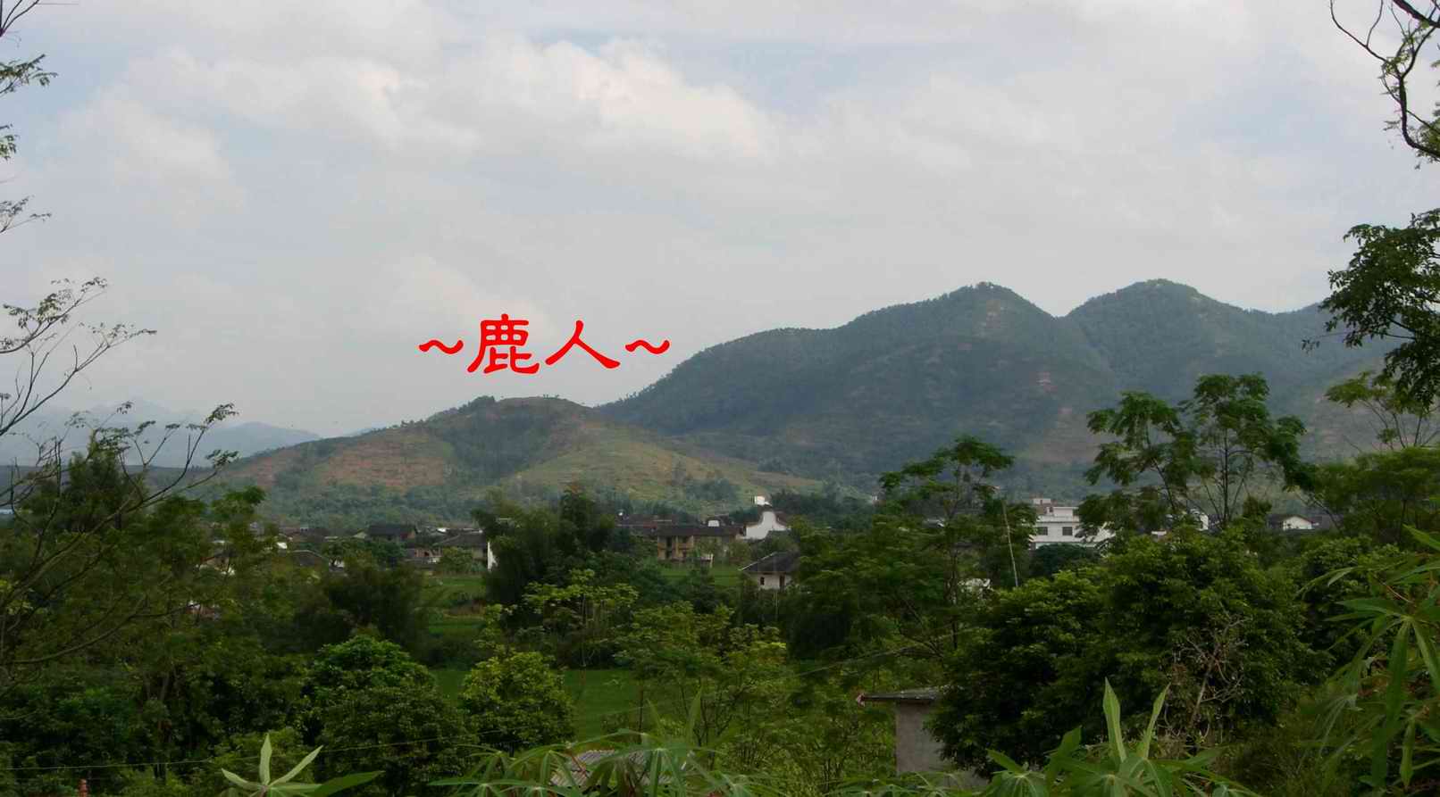 7延途看山巒5.JPG